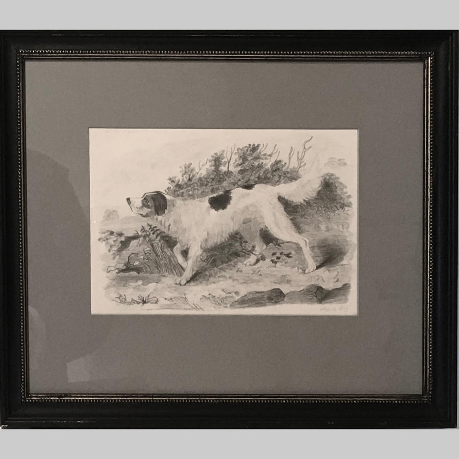 Drawing of an English setter by P.J.M. dated 1839