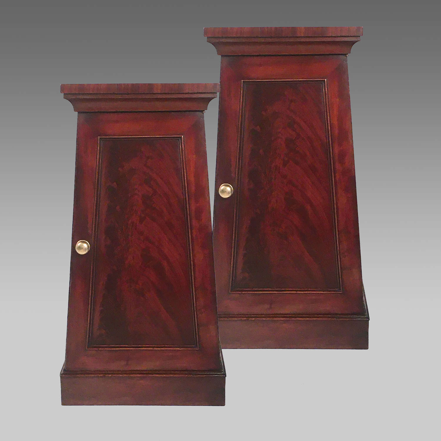 Pair classical Regency mahogany pedestal cabinets