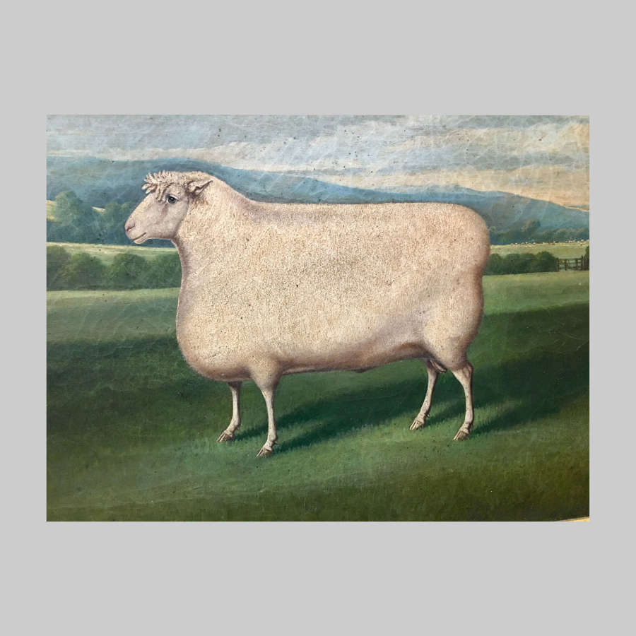 19th century oil painting of a pedigree ram