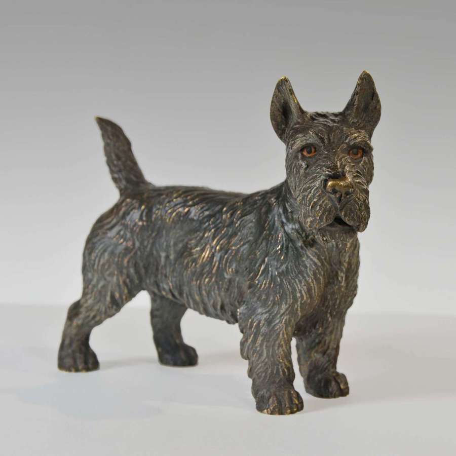 Austrian cold painted bronze of a Scottish Terrier